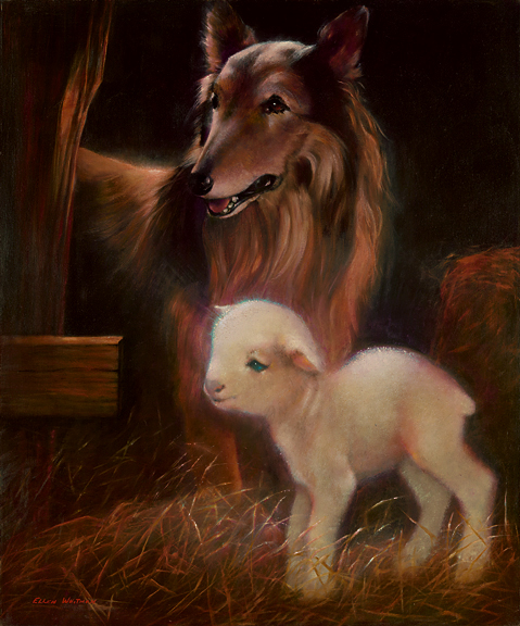 Collie and Lamb